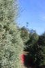 resIMG_20161127_122648_6708.JPG